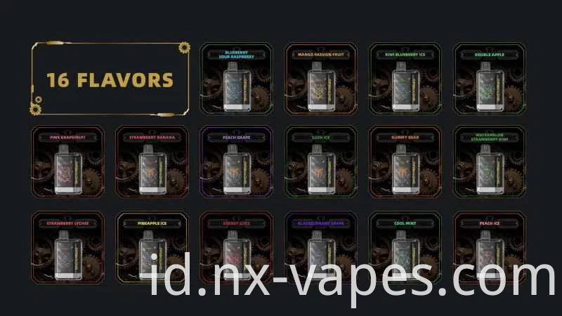 Maskking XTRO 10000 (2)